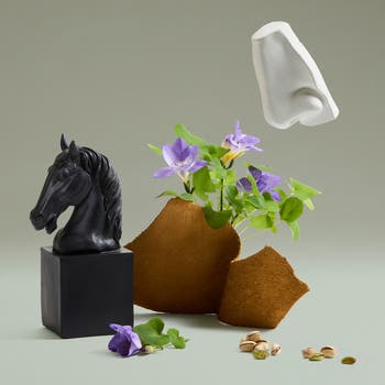 Fortuitous Finley Eau de Parfum