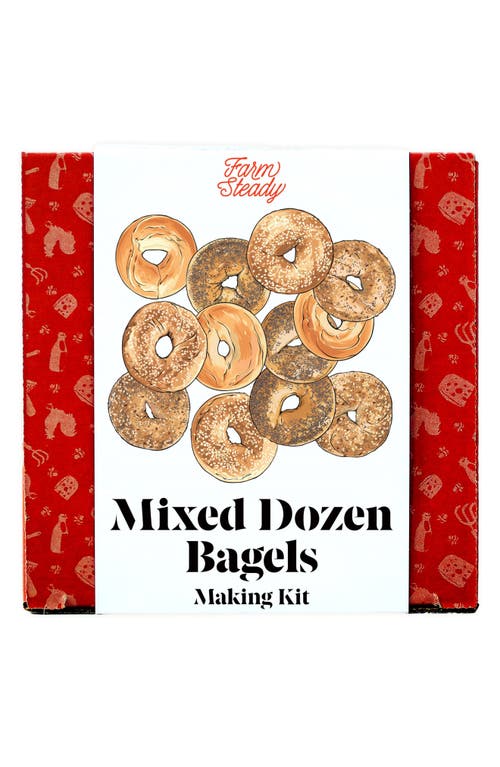 Brooklyn Brew Shop Mixed Dozen Bagels Making Kit in Red  product