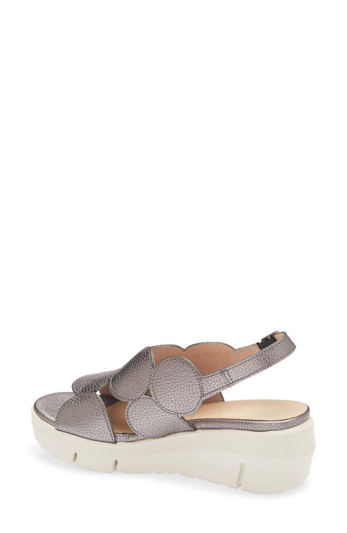Wonders Platform Sandal In Max Plomo