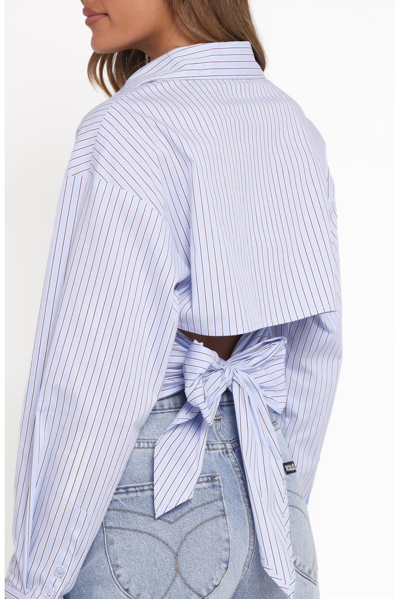Vienne Stripe Tie Back Button-Up Shirt, Alternate, color, BLUE/ BROWN STRIPE