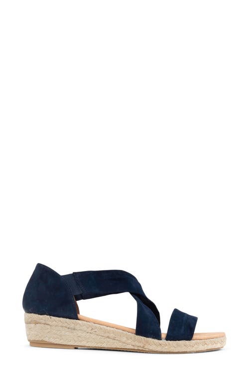 Shop Patricia Green Eliza Platform Wedge Espadrille Sandal In Navy Suede