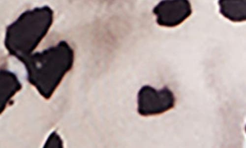 Bella Dahl Print Button-up Shirt In Neutral