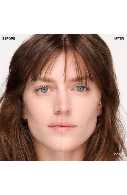 Ogee Complexion Perfecting Concealer In Brown