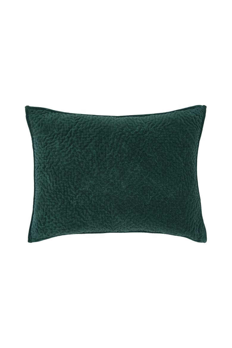 Vela Juniper Cotton Velvet Quilt Set, Alternate, color, Green