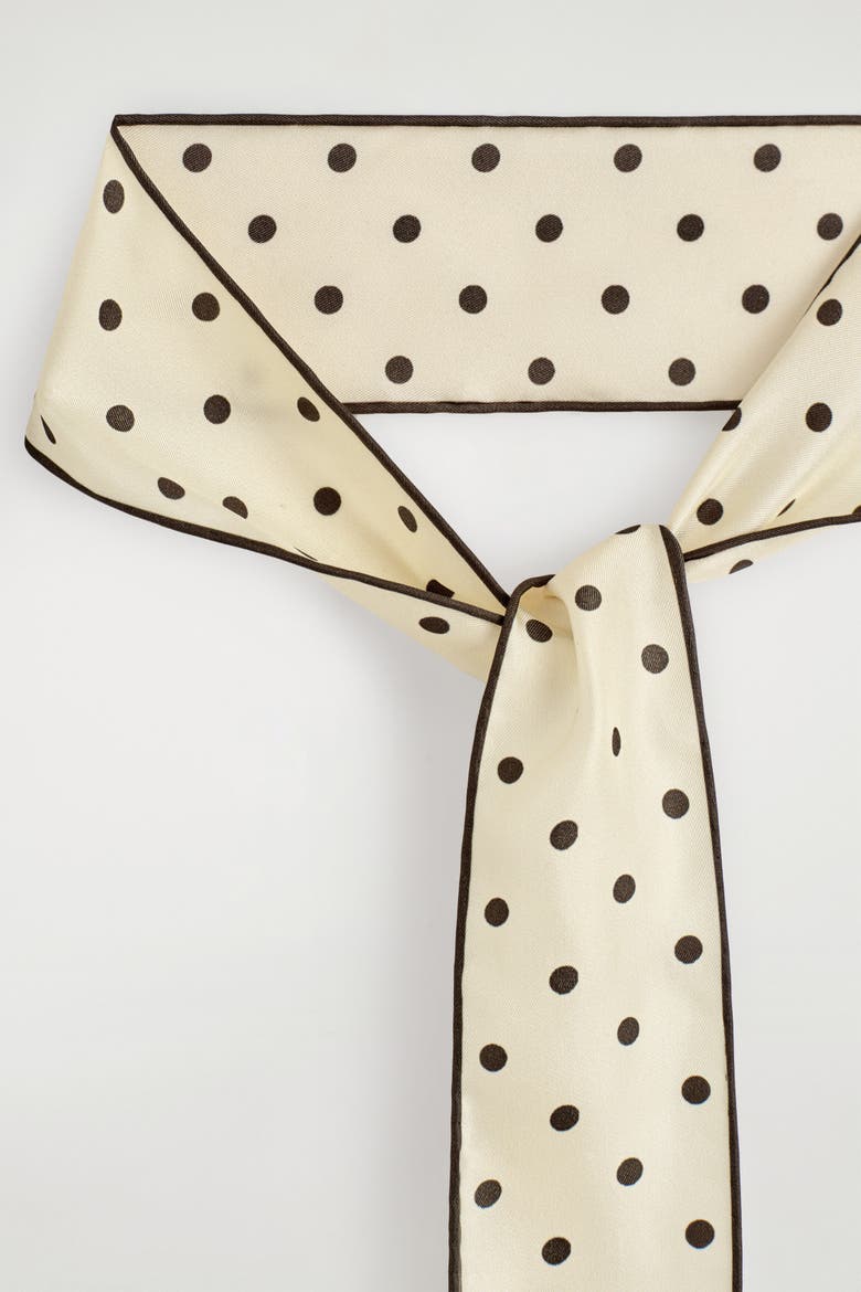 Polka-dot Silk Skinny Scarf, Alternate, color, YELLOW / BROWN / POLKA DOT