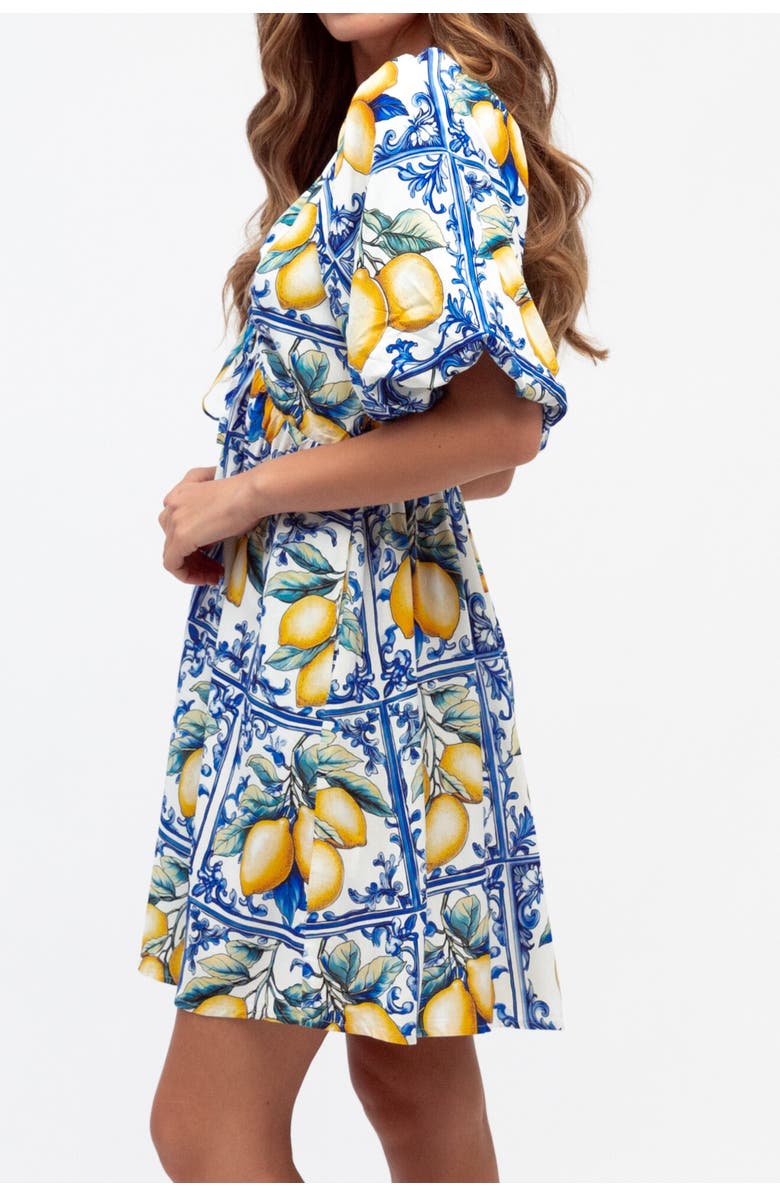 Studibaker Hawk Summer Sorrento Dress, Alternate, color, Blue