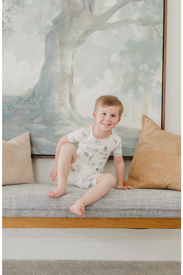 Tatooine Fitted Two-Piece Short Pajamas, Alternate, color, TATOOINE