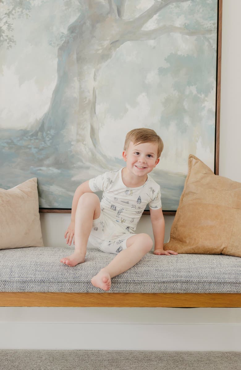 Copper Pearl Tatooine Fitted Two-Piece Short Pajamas, Alternate, color, Tatooine