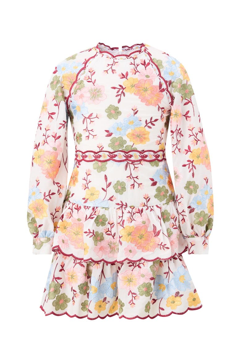 Penelope Cotton Embroidered Mini Dress, Main, color, Floral