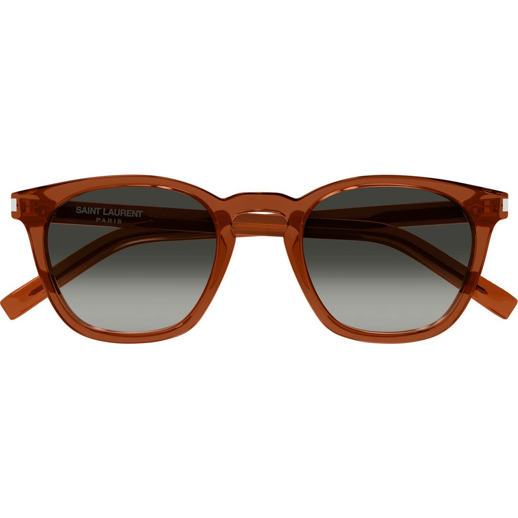 Saint Laurent 49mm Small Round Sunglasses in Brown  product