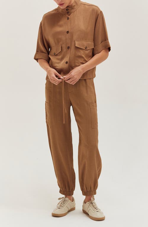 Crescent Lightweight Cargo Jogger Pants In Brown