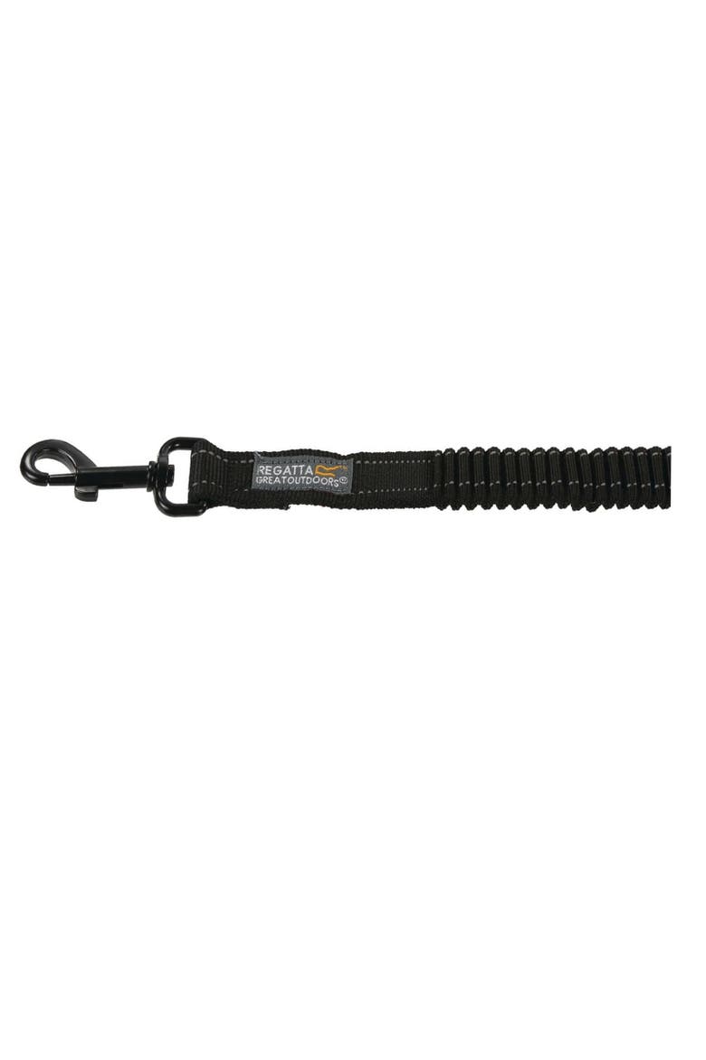 Dog Lead, Alternate, color, Black