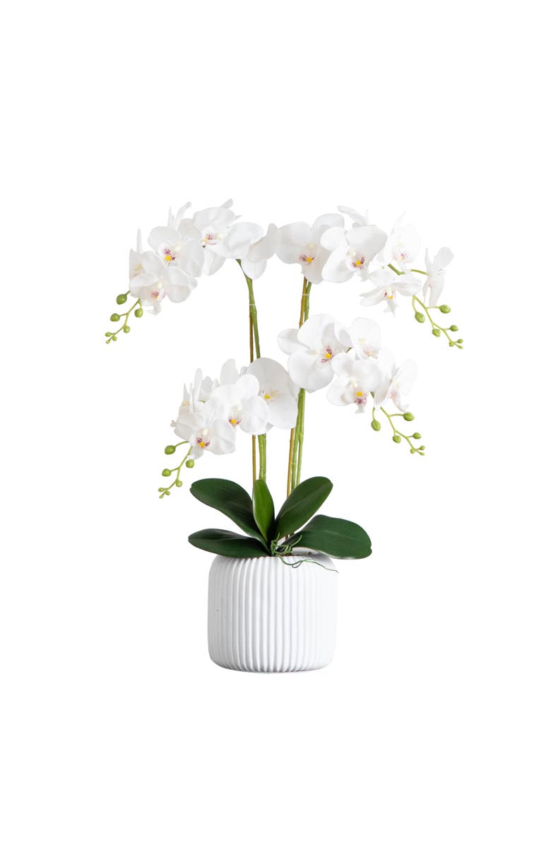 NEARLY NATURAL 26-in Artificial Phalaenopsis Orchid Arrangement in Decorative Ceramic Vase, Main, color, White