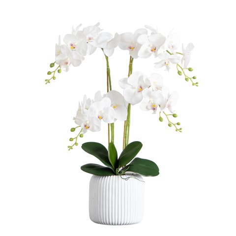 26-in Artificial Phalaenopsis Orchid Arrangement in Decorative Ceramic Vase (Real Touch)