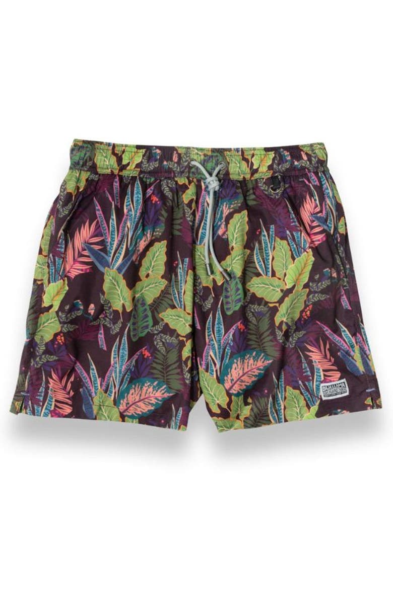 Baja Llama I'M FREAKING OUT MAN - STRETCH SWIMSUIT, Main, color,