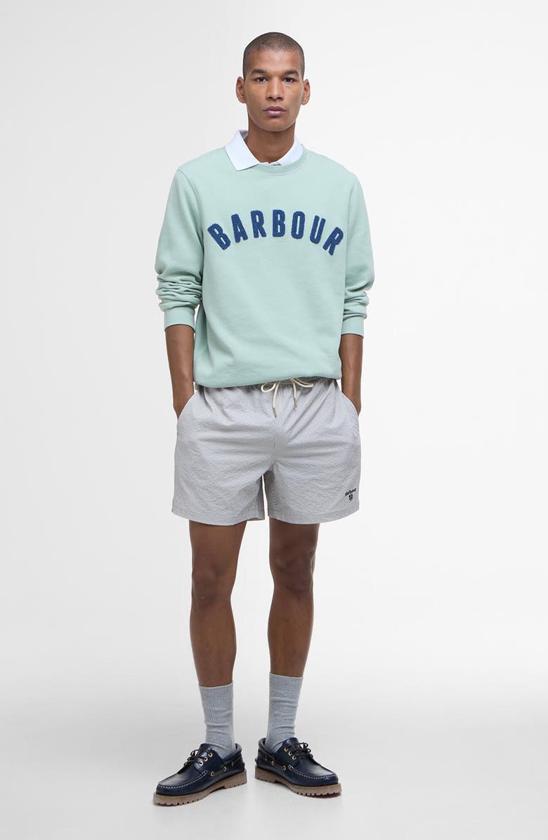 Barbour Somerset Swim Trunks, Alternate, color, Washed Stone Beige