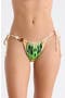  Lime Butterfly