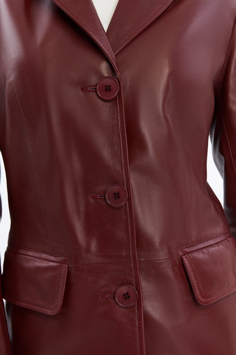 Esther Leather Jacket, Alternate, color, Burgundy