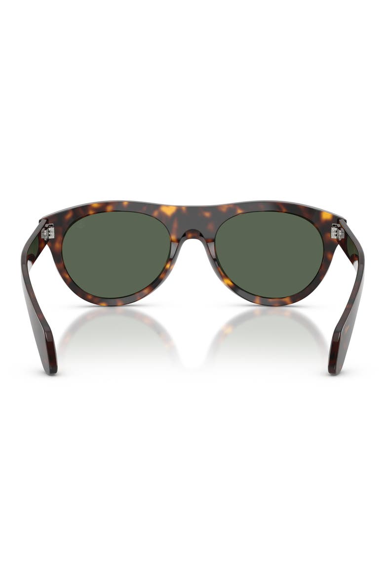 53mm Splash Oval Sunglasses, Alternate, color, HAVANA / SOLID DARK GREEN