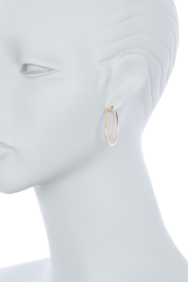 Horseshoe Hoop Earrings, Alternate, color, GOLD