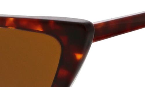 Bcbg 54mm Slim Gradient Cat Eye Sunglasses