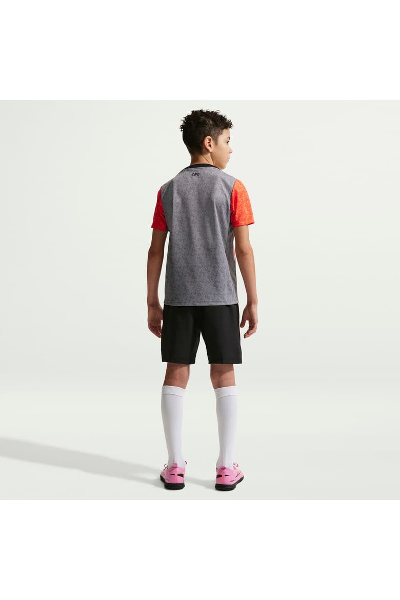Youth Nike  Gray Chelsea 2025/26 Academy Pro Pre-Match Top, Alternate, color, Gray