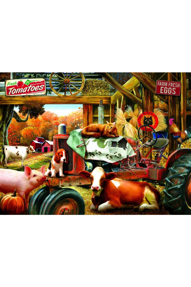 Barnhouse Meeting 1000 piece Jigsaw Puzzle for Adults, Alternate, color, Multicolor