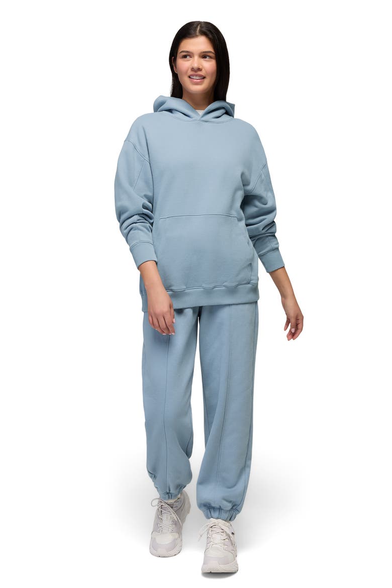 Dreamfleece Hoodie, Alternate, color, GLACIER SKIES