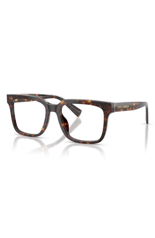 Dolce & Gabbana Dolce&gabbana 53mm Polarized Square Optical Glasses In Havana