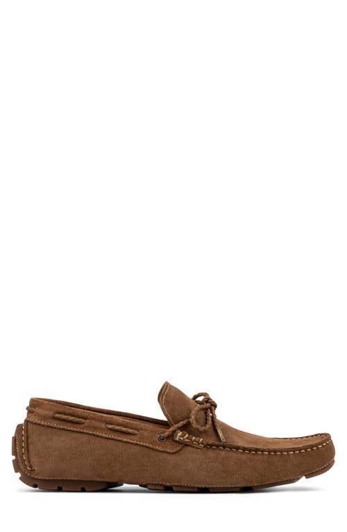 Donald Pliner Dutton Driving Loafer In Brown