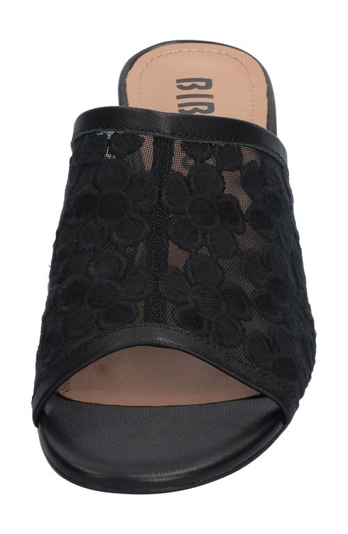 Bibi Lou Amira Slide Sandal In Multi