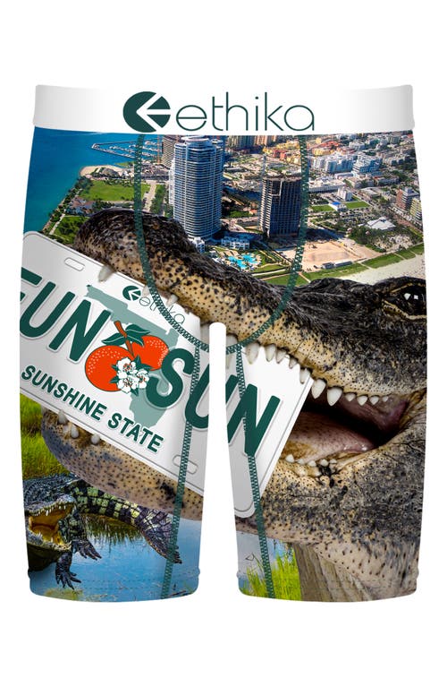 Ethika Kids' Florida Man Boxer Briefs in Multi Green  product