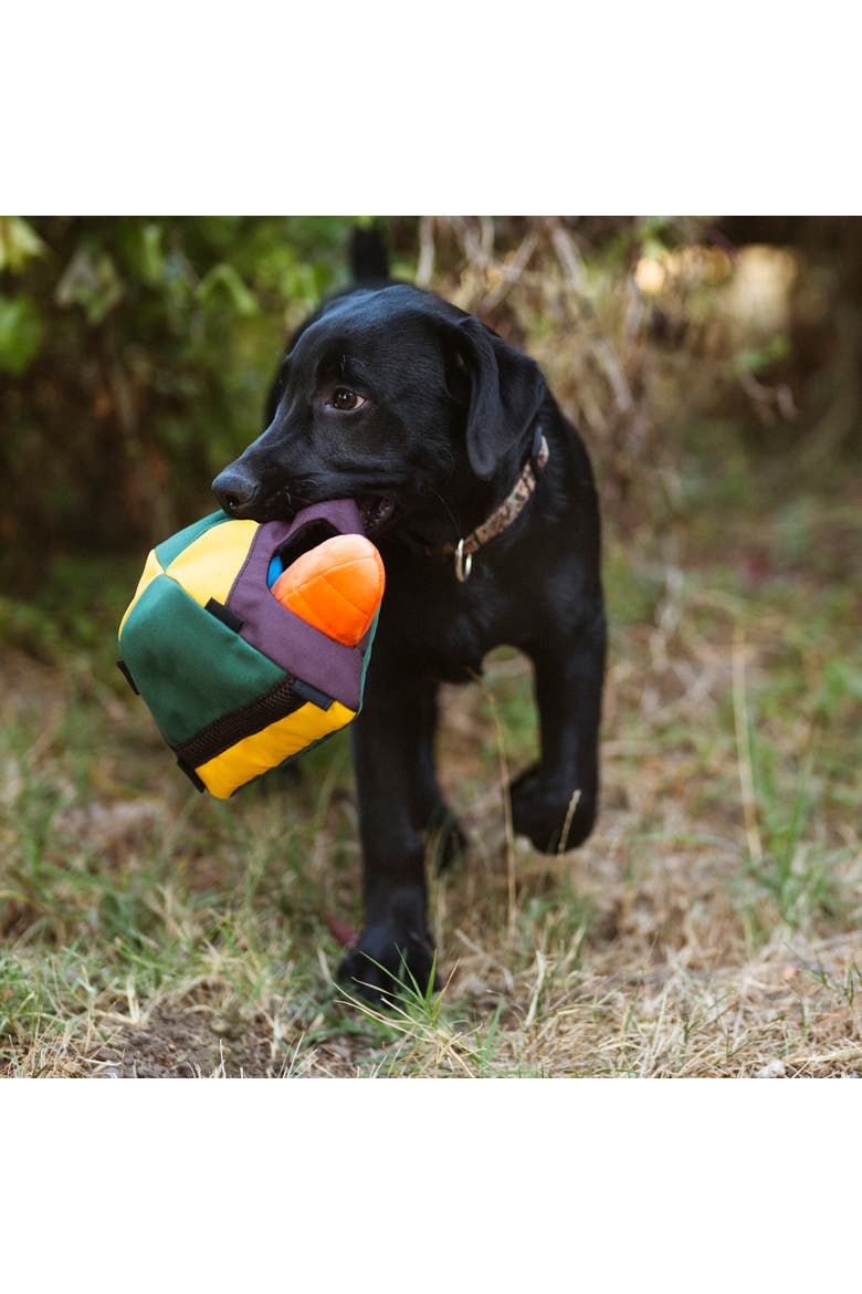 Camp Corbin Trailblazing Tent Dog Toy Squeaker, Crinkle, Alternate, color, Multicolored
