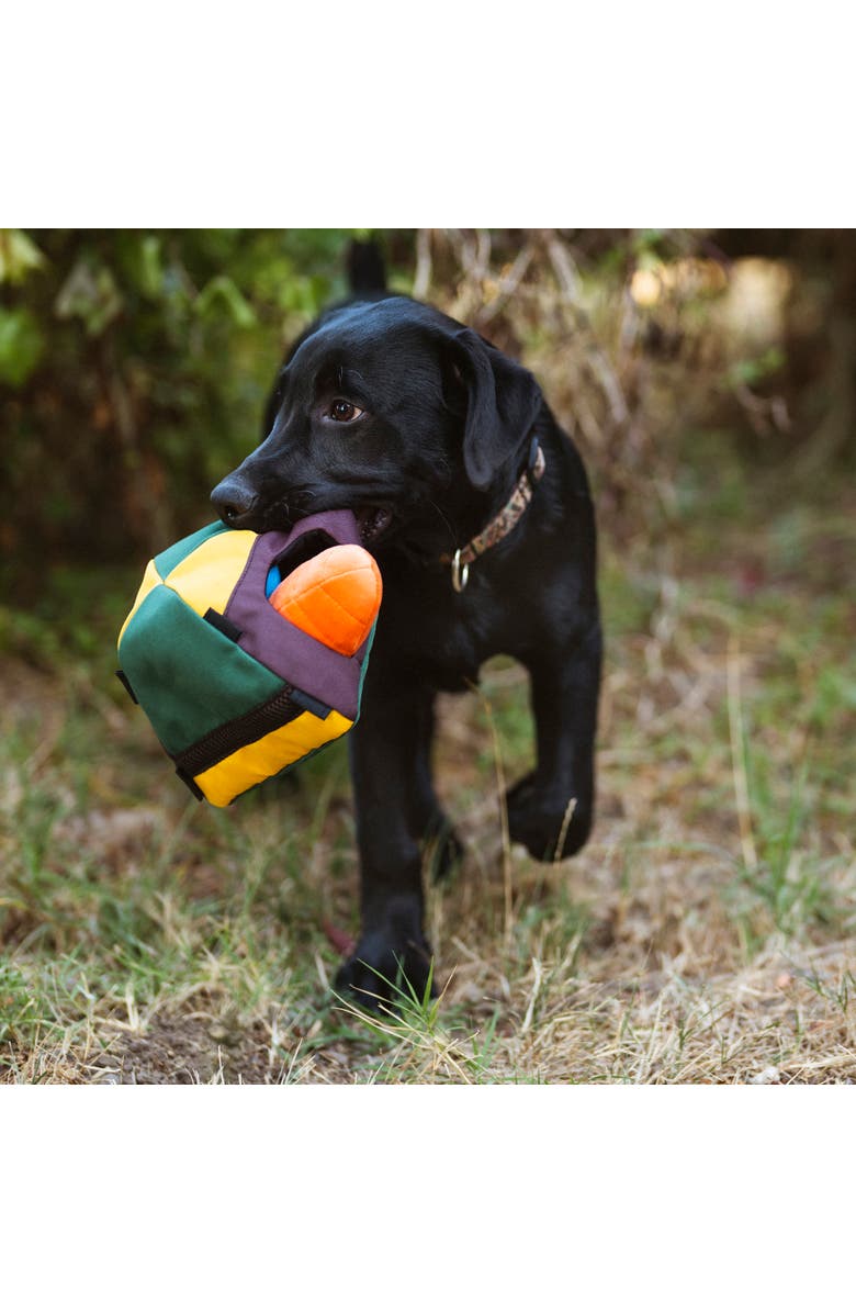 P.L.A.Y. Camp Corbin Trailblazing Tent Dog Toy Squeaker, Crinkle, Alternate, color, Multicolored