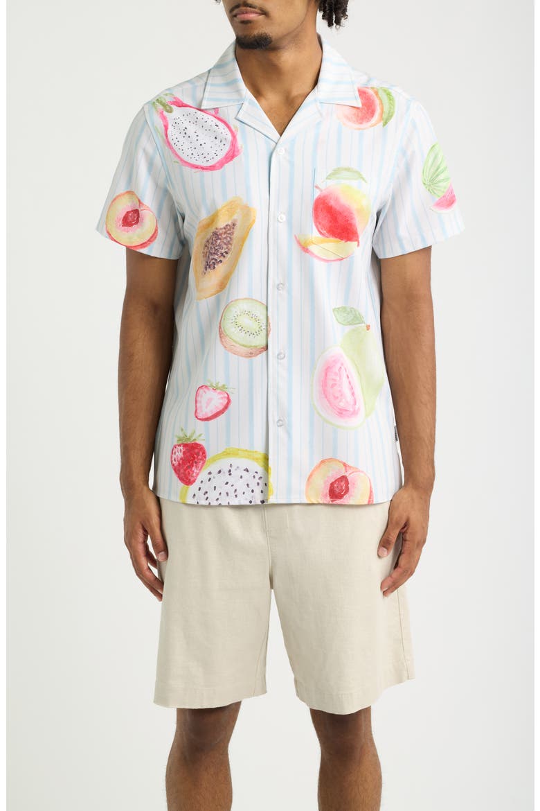 Freshly Picked Weekend Camp Shirt, Main, color, BLUE
