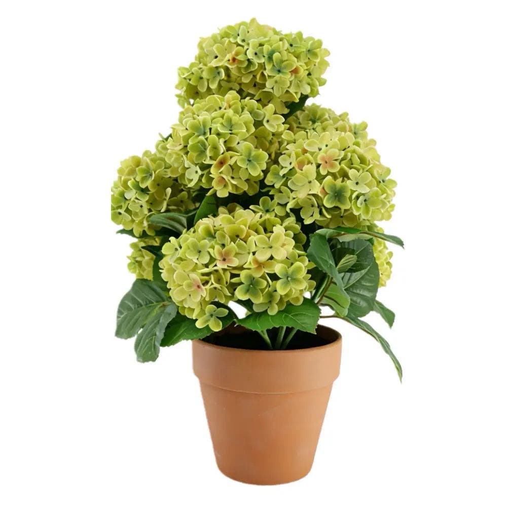 selected Light Green