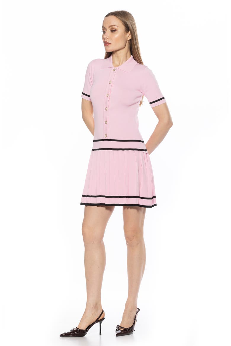 Lucinda Short Sleeve Dress, Alternate, color, PINK