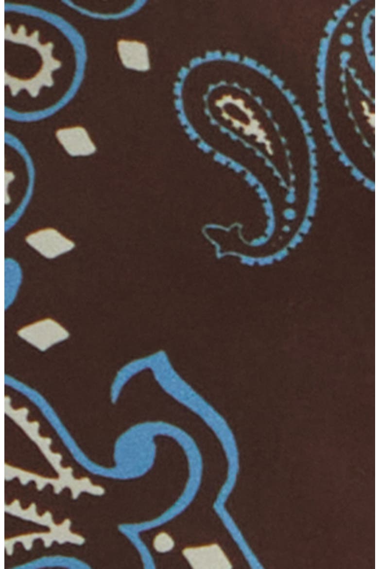 Paisley Print Swim Trunks, Alternate, color, PARSLEY BROWN/ BLUE