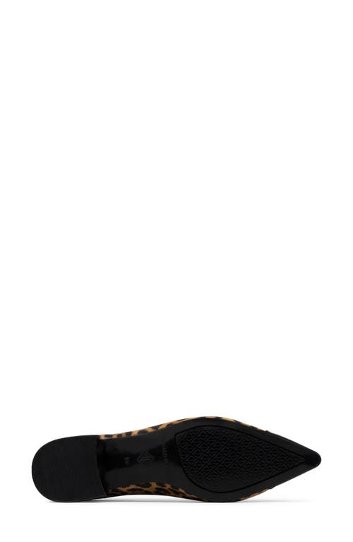 Donald Pliner Ladonna Pointed Toe Pump In Brown