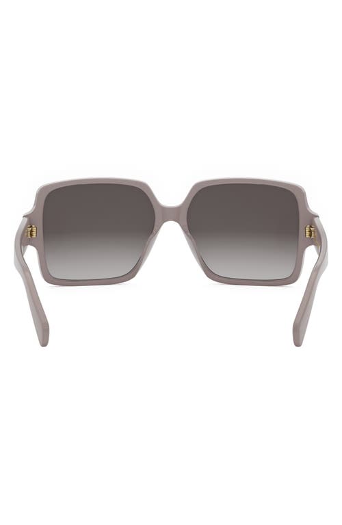 Celine Triomphe Square Acetate Sunglasses In Brown