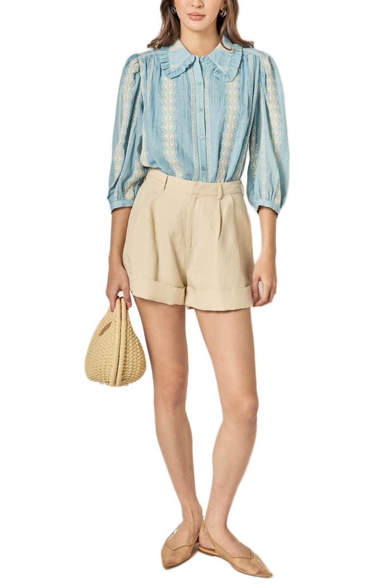 English Factory Ruffle Embroidered Puff Shoulder Shirt, Alternate, color, Powder Blue/ Natural