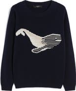 Weekend Max Mara Nespola Whale Embroidered Crewneck Sweater