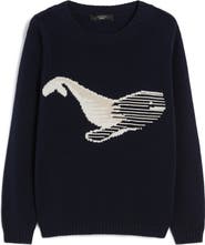 Weekend Max Mara Nespola Whale Embroidered Crewneck Sweater