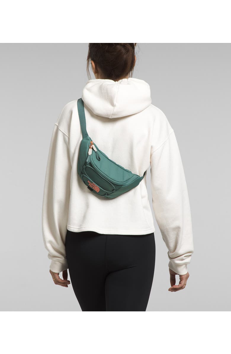 The North Face Jester Lumbar Luxe Belt Bag, Alternate, color,