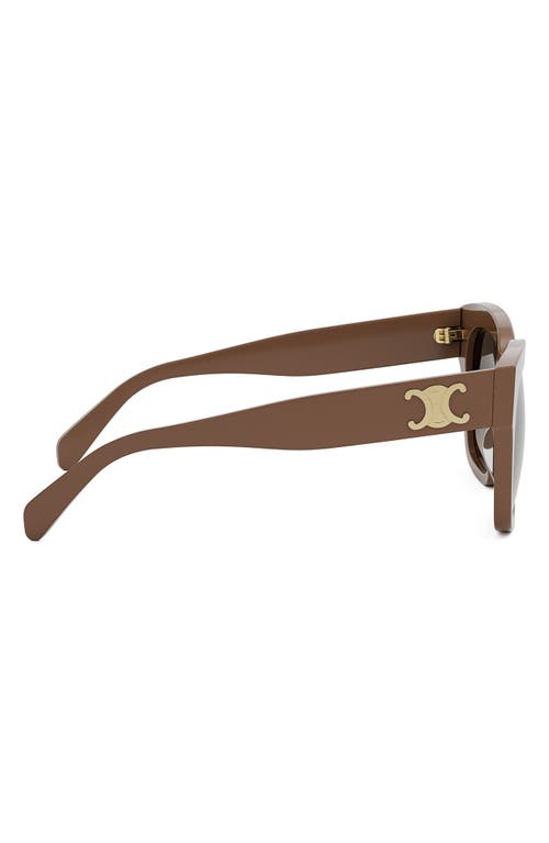 Celine Triomphe Acetate Square Sunglasses In Shiny Light Brown/brown
