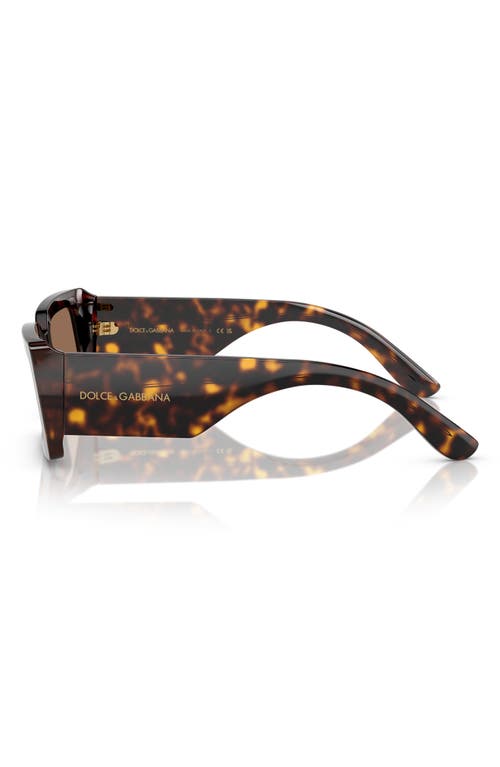 Dolce & Gabbana Dolce&gabbana 53mm Rectangular Sunglasses In Havana