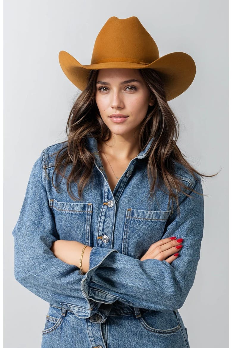 The Sunset Silhouette Premier Wool Western Cowboy Hat, Alternate, color, Brown