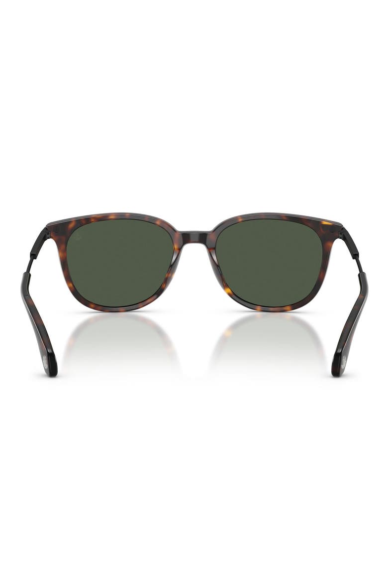 Kora 53mm Polarized Oval Sunglasses, Alternate, color, HAVANA / POLAR SOLID GREEN
