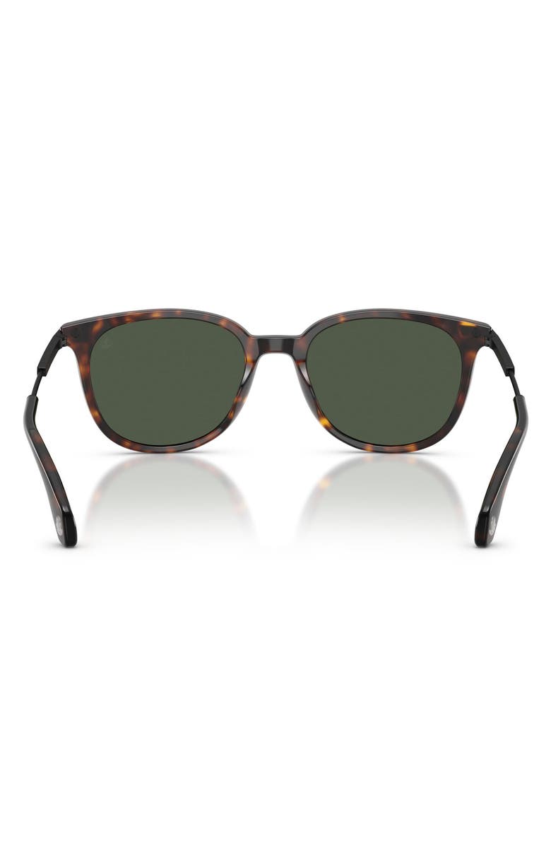 Moncler Kora 53mm Polarized Oval Sunglasses, Alternate, color, Havana / Polar Solid Green