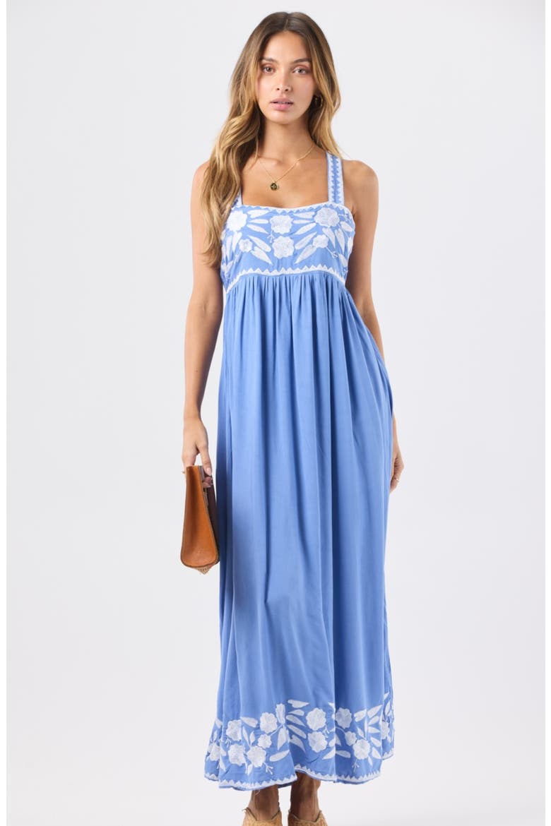 Antibes Embroidery Detail Maxi Dress, Alternate, color, CORNFLOWER BLUE